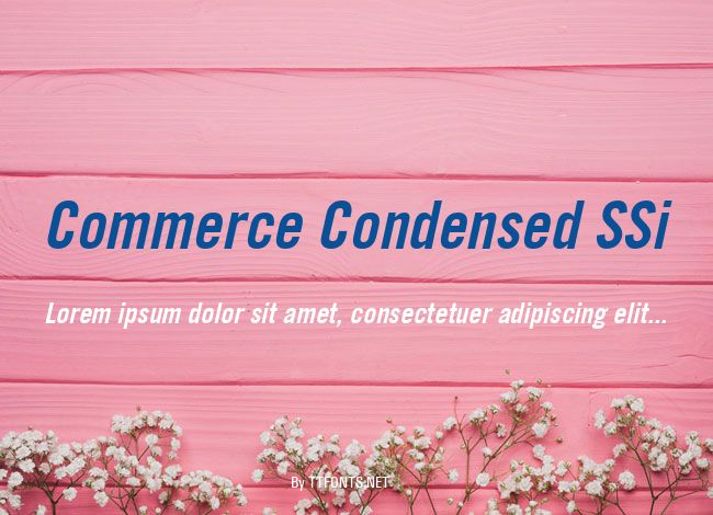 Commerce Condensed SSi example